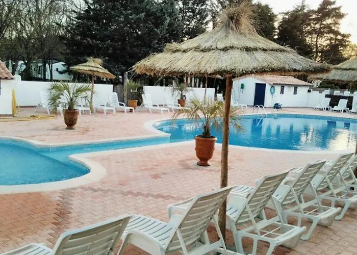 Mobil-home Avec Terrasse Et Salon De Jardin - Api-1-52-502 *
